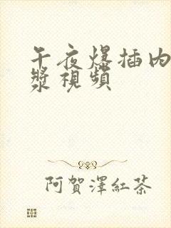 午夜爆插内射白浆视频