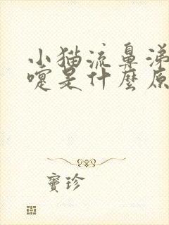 小猫流鼻涕打喷嚏是什么原因