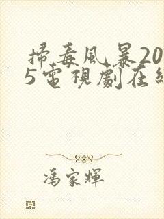 扫毒风暴2025电视剧在线播放免费观看