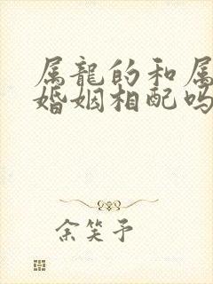 属龙的和属鸡的婚姻相配吗