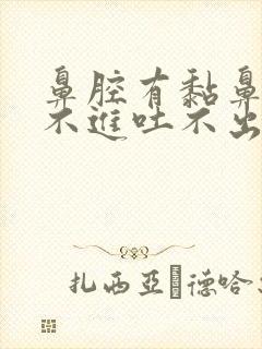 鼻腔有黏鼻涕吸不进吐不出怎么办