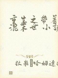 重生之带着空间混末世 小说