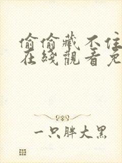 偷偷藏不住小说在线观看免费