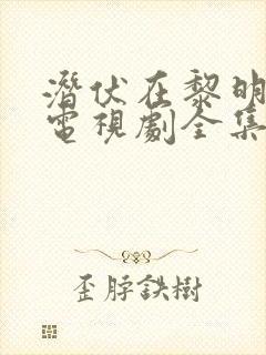 潜伏在黎明之前电视剧全集剧情