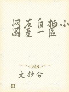 网友自拍小视频国产一区