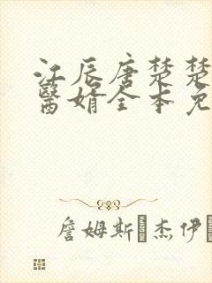 江辰唐楚楚龙王医婿全本免费封面