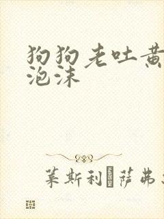 狗狗老吐黄水带泡沫