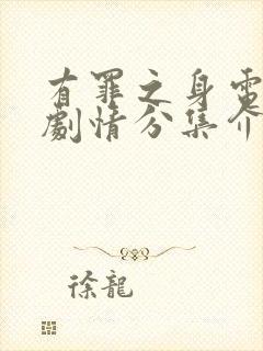 有罪之身电视剧剧情分集介绍