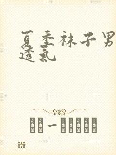 夏季袜子男薄款透气封面