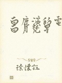 白鹿演的电视剧白月梵星