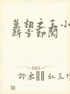 万相之王小说最新章节阅