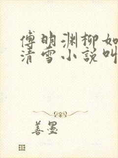傅明渊柳如嫣林清雪小说叫什么名字封面