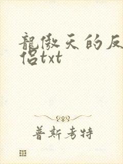 龙傲天的反派道侣txt