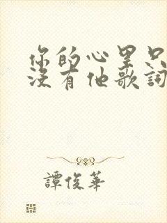 你的心里只有我没有他歌词