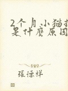 2个月小猫拉稀是什么原因造成的