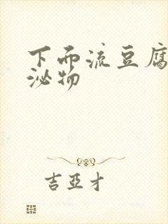 下面流豆腐渣分泌物