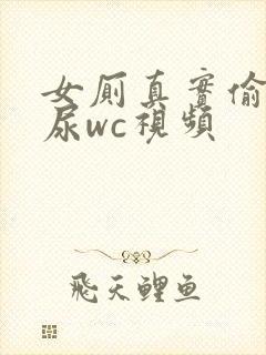 女厕真实偷拍撒尿wc视频