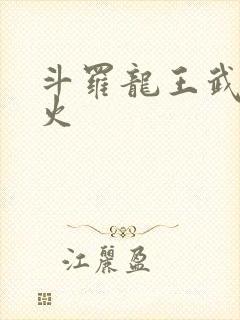 斗罗龙王武魂异火封面