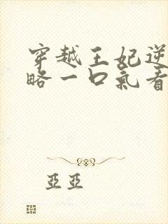 穿越王妃逆袭攻略一口气看完封面
