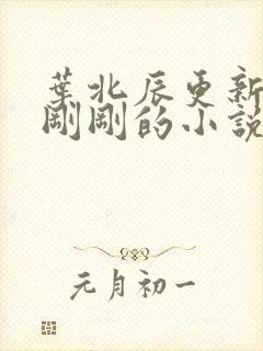 叶北辰更新最快刚刚的小说