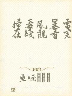 扫毒风暴电视剧在线观看完整版2025