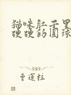 猫咪肚子里有个硬硬的圆球