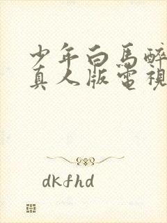 少年白马醉春风真人版电视剧