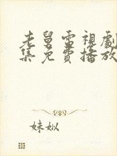 老舅电视剧40集免费播放封面