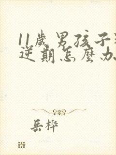 11岁男孩子叛逆期怎么办