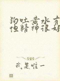 狗吐黄水有泡沫但精神很好