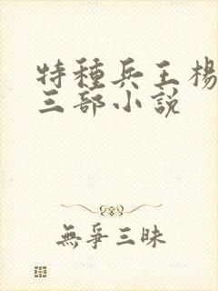 特种兵王杨洛第三部小说