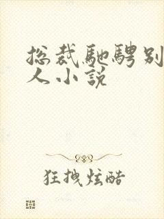 总裁驰骋别的女人小说