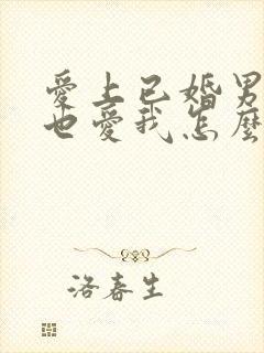 爱上已婚男人他也爱我怎么办封面