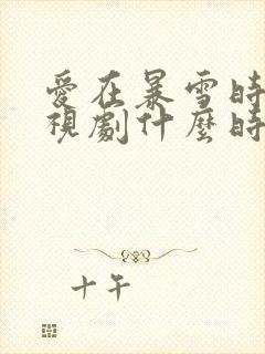 爱在暴雪时分电视剧什么时候播封面