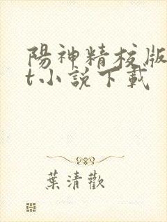阳神精校版txt小说下载