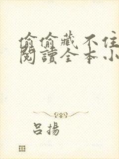 偷偷藏不住免费阅读全本小说