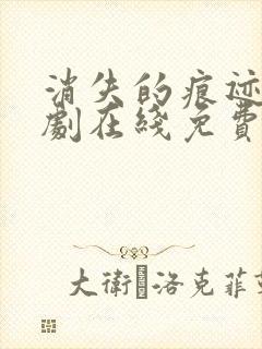 消失的痕迹电视剧在线免费高清