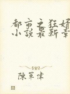 都市之狂婿战神小说最新章节在线