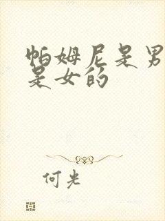 帕姆尼是男的还是女的封面