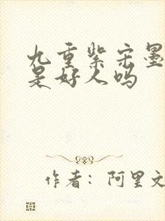 九重紫宋墨弟弟是好人吗