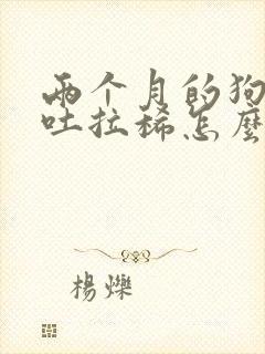 两个月的狗狗呕吐拉稀怎么办