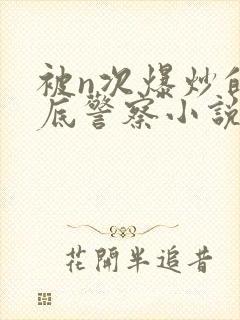 被n次爆炒的卧底警察小说封面