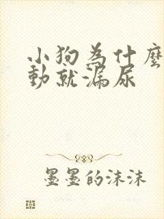 小狗为什么一激动就漏尿封面