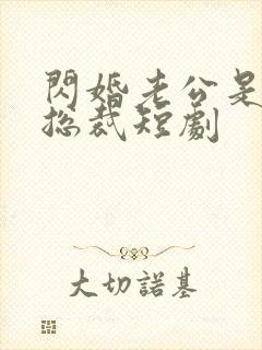 闪婚老公是亿万总裁短剧