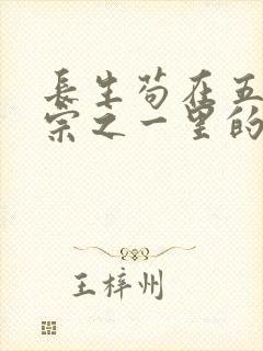 长生苟在五大仙宗之一里的小说