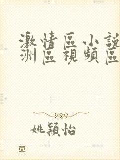 激情区小说区亚洲区视频区