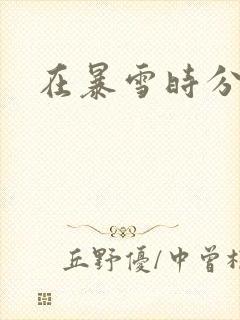 在暴雪时分几集