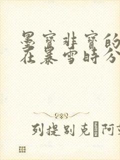 墨宝非宝的小说在暴雪时分封面