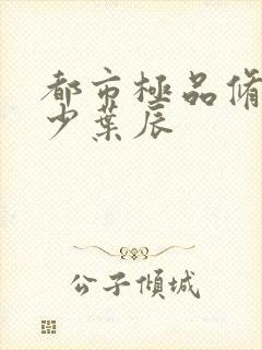 都市极品修真弃少叶辰