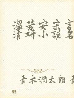 温若安宋言津林清妍小说名字
